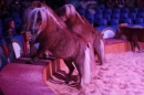 Circus-Carl-Busch-Ravensburg-090610-Bodensee-Community-seechat_de-IMG_2196.JPG