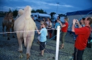 Circus-Carl-Busch-Ravensburg-090610-Bodensee-Community-seechat_de-IMG_2300.JPG