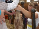 Kamelhof-Afrikafest-2010-Rotfelden-060810-Bodensee-Community-seechat_de-P1000310.JPG