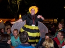 KONSTANZ-Seenachtsfest-2010-140810-Bodensee-Community-seechat_de-104_1667.JPG