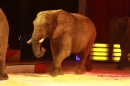 Weihnachtscircus-Ravensburg-2010-Radio7-Drachenkinder-221210-seechat_de-IMG_5447.JPG