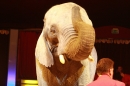 Weihnachtscircus-Ravensburg-2010-Radio7-Drachenkinder-221210-seechat_de-IMG_5465.JPG