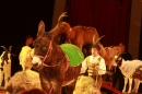 Weihnachtscircus-Ravensburg-2010-Radio7-Drachenkinder-221210-seechat_de-IMG_5636.JPG