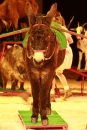 Weihnachtscircus-Ravensburg-2010-Radio7-Drachenkinder-221210-seechat_de-IMG_5647.JPG