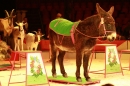 Weihnachtscircus-Ravensburg-2010-Radio7-Drachenkinder-221210-seechat_de-IMG_5651.JPG