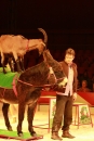 Weihnachtscircus-Ravensburg-2010-Radio7-Drachenkinder-221210-seechat_de-IMG_5653.JPG