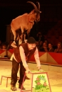 Weihnachtscircus-Ravensburg-2010-Radio7-Drachenkinder-221210-seechat_de-IMG_5667.JPG