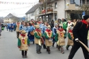 Narrentreffen-Umzug-orsingen-300111-seechat-de-DSC00715.JPG