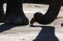 Wilhelma-Zoo-Stuttgart-050211-Bodensee-Community-seechat_de-IMG_8747.JPG