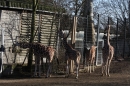 Wilhelma-Zoo-Stuttgart-050211-Bodensee-Community-seechat_de-IMG_8780.JPG