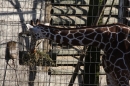 Wilhelma-Zoo-Stuttgart-050211-Bodensee-Community-seechat_de-IMG_8781.JPG