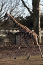 Wilhelma-Zoo-Stuttgart-050211-Bodensee-Community-seechat_de-IMG_8785.JPG