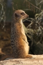 Wilhelma-Zoo-Stuttgart-050211-Bodensee-Community-seechat_de-IMG_8800.JPG