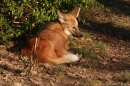 Wilhelma-Zoo-Stuttgart-050211-Bodensee-Community-seechat_de-IMG_8824.JPG