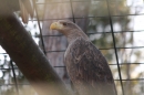 Wilhelma-Zoo-Stuttgart-050211-Bodensee-Community-seechat_de-IMG_8937.JPG