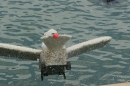 Seehafenfliegen-2011-Lindau-250611-Bodensee-Community-SEECHAT_DE-_83.JPG