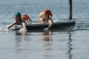 Badewannenrennen-Wasserburg-160711-Bodensee-Community-seechat_de-DSC00431.JPG