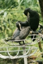 Zoo-Basel-090811-Bodensee-Community-SEECHAT_DE-DSC06011.JPG