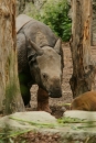 Zoo-Basel-090811-Bodensee-Community-SEECHAT_DE-DSC06088.JPG