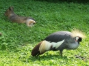 Haustierhof-Reutemuehle-13082011-Bodensee-Community-seechat_de-_101.JPG