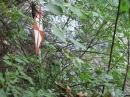 Marienschlucht-Bodman-14082011-Konstanz-Bodensee-Community-seechat-de-IMG_8747.JPG