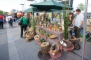 Seenachtsfest-Konstanz-13082011-Bodensee-Community-SEECHAT_DSC06384.JPG