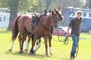 CHI-Reitturnier-2011-Donaueschingen-250911-Bodensee-Community-SEECHAT_DE-IMG_8738.JPG