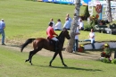 CHI-Reitturnier-2011-Donaueschingen-250911-Bodensee-Community-SEECHAT_DE-IMG_9081.JPG