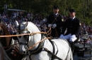 Hengstparade-Marbach-2011-011011-Bodensee-Community-SEECHAT_DE-IMG_0305.JPG