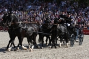 Hengstparade-Marbach-2011-011011-Bodensee-Community-SEECHAT_DE-IMG_0306.JPG