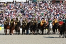 Hengstparade-Marbach-2011-011011-Bodensee-Community-SEECHAT_DE-IMG_0320.JPG