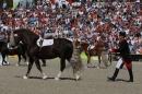 Hengstparade-Marbach-2011-011011-Bodensee-Community-SEECHAT_DE-IMG_0368.JPG