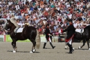 Hengstparade-Marbach-2011-011011-Bodensee-Community-SEECHAT_DE-IMG_0376.JPG