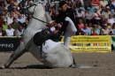 Hengstparade-Marbach-2011-011011-Bodensee-Community-SEECHAT_DE-IMG_0407.JPG