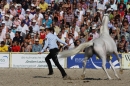 Hengstparade-Marbach-2011-011011-Bodensee-Community-SEECHAT_DE-IMG_0487.JPG