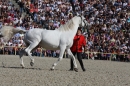 Hengstparade-Marbach-2011-011011-Bodensee-Community-SEECHAT_DE-IMG_0506.JPG