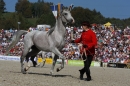 Hengstparade-Marbach-2011-011011-Bodensee-Community-SEECHAT_DE-IMG_0507.JPG