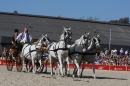 Hengstparade-Marbach-2011-011011-Bodensee-Community-SEECHAT_DE-IMG_0516.JPG