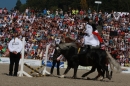 Hengstparade-Marbach-2011-011011-Bodensee-Community-SEECHAT_DE-IMG_0573.JPG