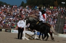 Hengstparade-Marbach-2011-011011-Bodensee-Community-SEECHAT_DE-IMG_0574.JPG