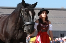 Hengstparade-Marbach-2011-011011-Bodensee-Community-SEECHAT_DE-IMG_0629.JPG