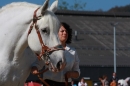 Hengstparade-Marbach-2011-011011-Bodensee-Community-SEECHAT_DE-IMG_0657.JPG