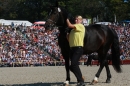 Hengstparade-Marbach-2011-011011-Bodensee-Community-SEECHAT_DE-IMG_0699.JPG