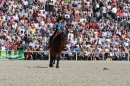 Hengstparade-Marbach-2011-011011-Bodensee-Community-SEECHAT_DE-IMG_0849.JPG