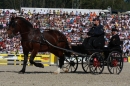 Hengstparade-Marbach-2011-011011-Bodensee-Community-SEECHAT_DE-IMG_0865.JPG