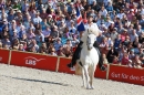 Hengstparade-Marbach-2011-011011-Bodensee-Community-SEECHAT_DE-IMG_0886.JPG