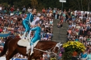 Hengstparade-Marbach-2011-011011-Bodensee-Community-SEECHAT_DE-IMG_1045.JPG