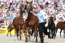 Hengstparade-Marbach-2011-011011-Bodensee-Community-SEECHAT_DE-IMG_1259.JPG