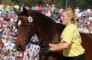 Hengstparade-Marbach-2011-011011-Bodensee-Community-SEECHAT_DE-IMG_1267.JPG