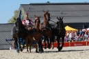 Hengstparade-Marbach-2011-011011-Bodensee-Community-SEECHAT_DE-IMG_1274.JPG